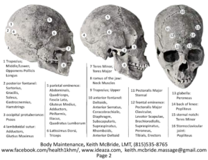 2Nerovasular_Holds_470_363